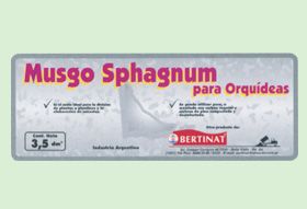 Musgo Sphagnum para orquideas